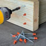 2-3/4" Duplex Screws – 10 lb Bucket (New Design, Preorder)